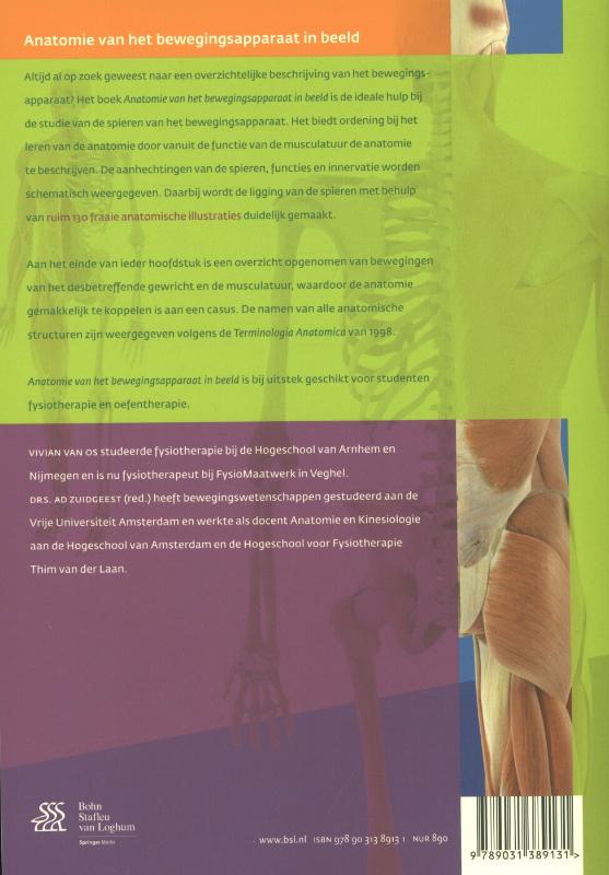 Anatomie van het bewegingsapparaat in beeld achterkant