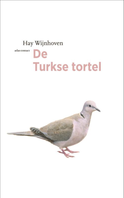 De Turkse tortel / De vogelserie / 17