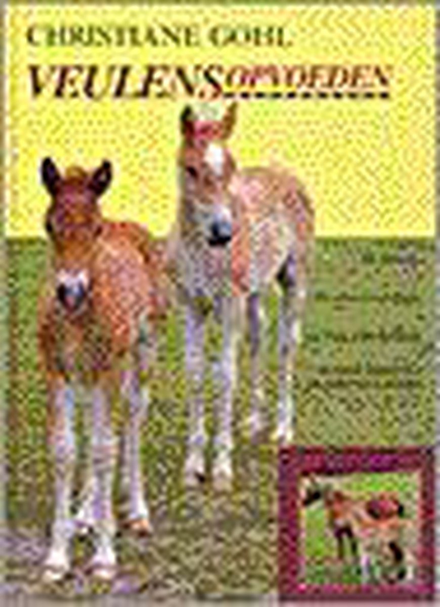 boekenbalie_9789038409191_cover VEULENS OPVOEDEN