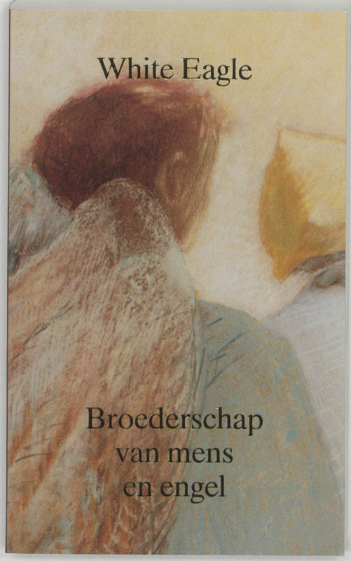 boekenbalie_9789020220506_cover Broederschap van mens en engel / De kosmische mens