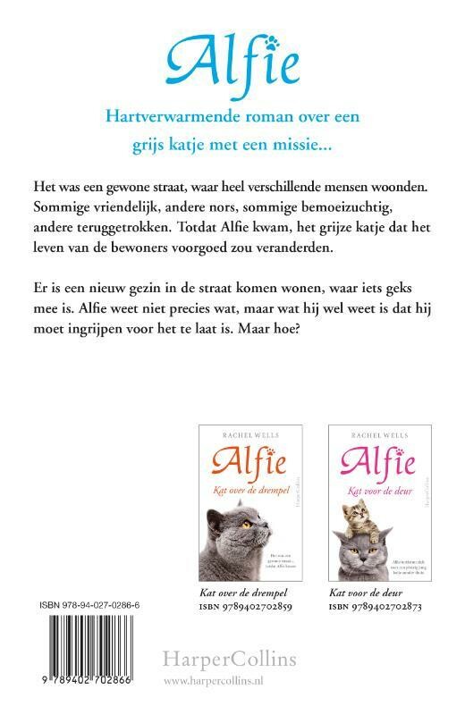 Kat over de vloer / Alfie achterkant