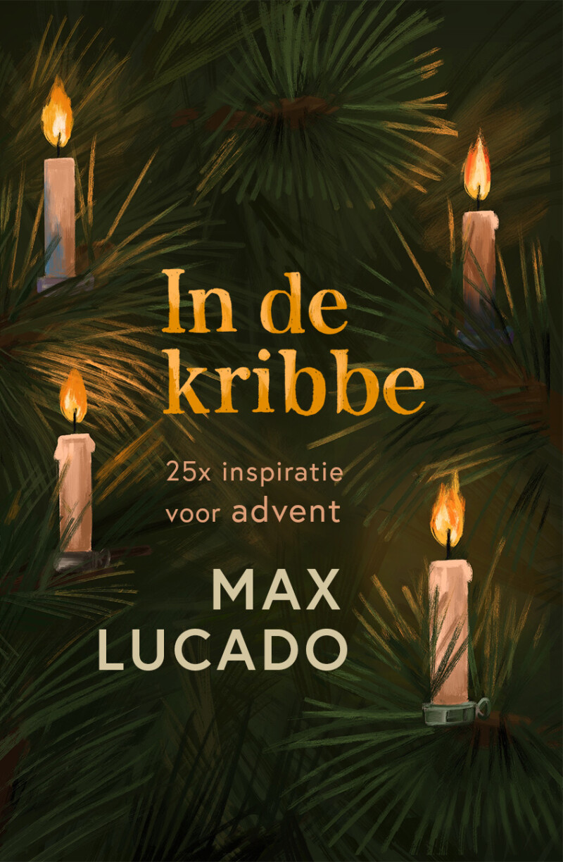In de kribbe