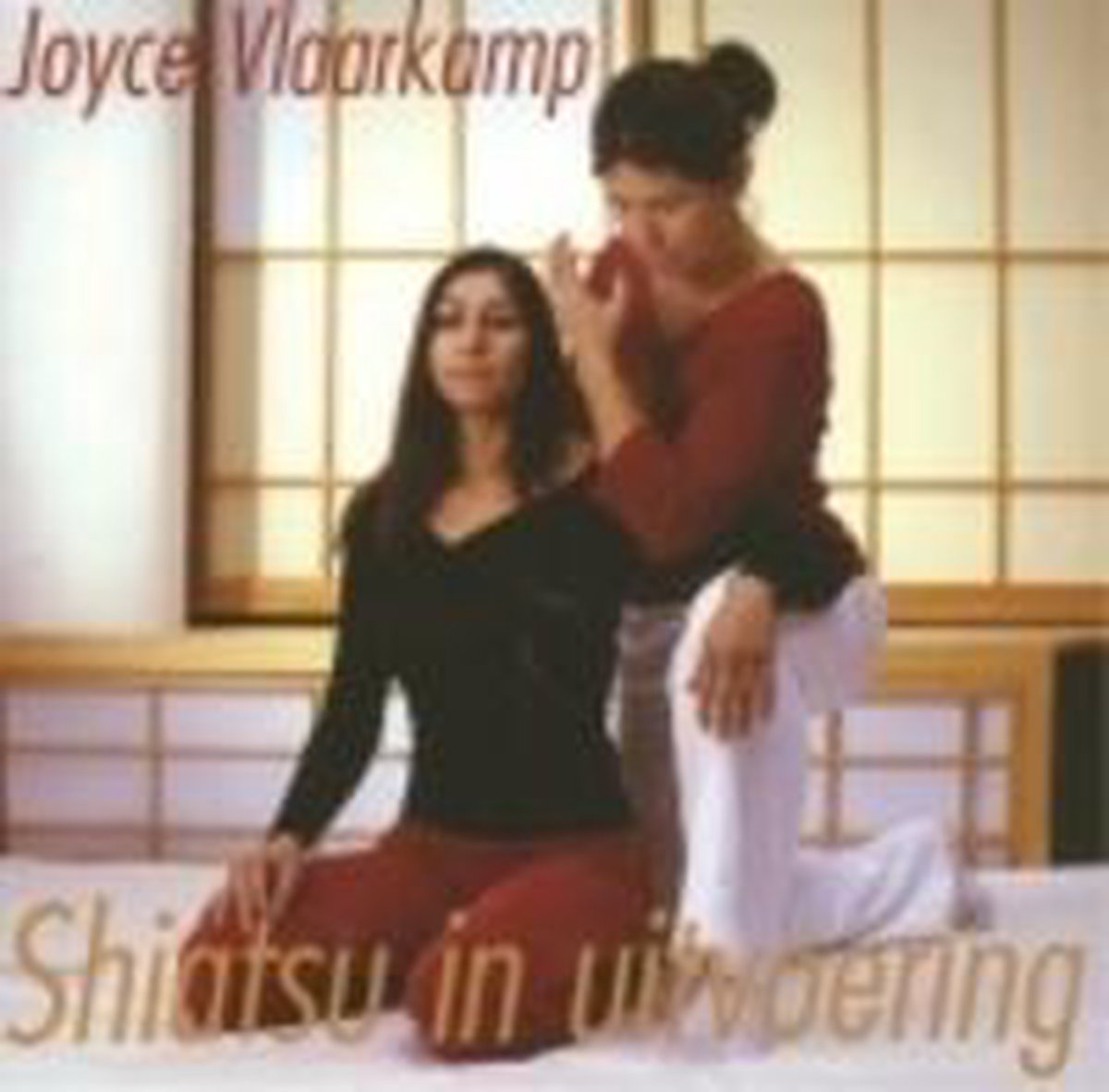 boekenbalie_9789069636290_cover Shiatsu In Uitvoering