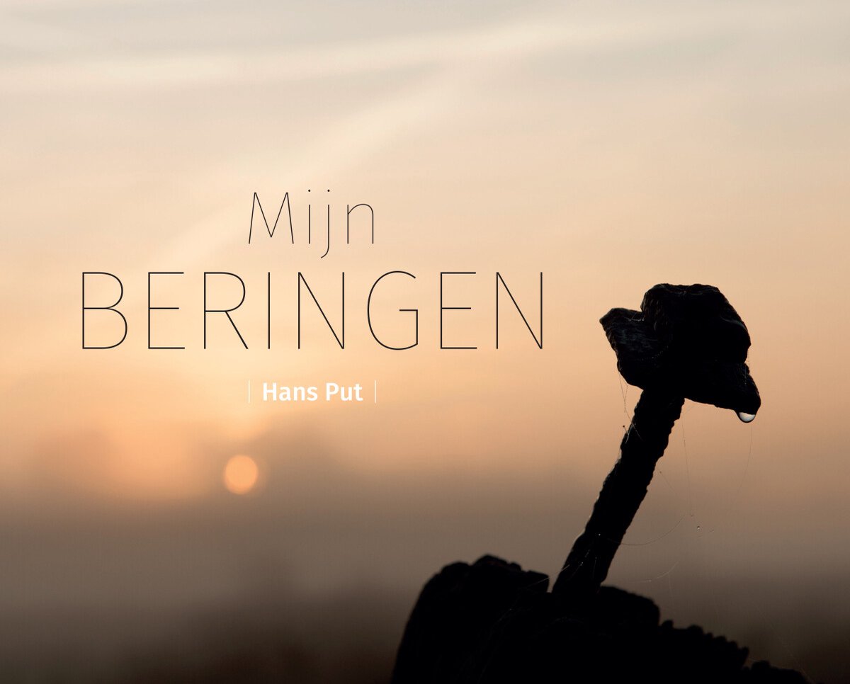 Mijn beringen