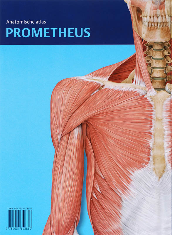 Prometheus anatomische atlas - Algemene anatomie en bewegingsapparaat achterkant