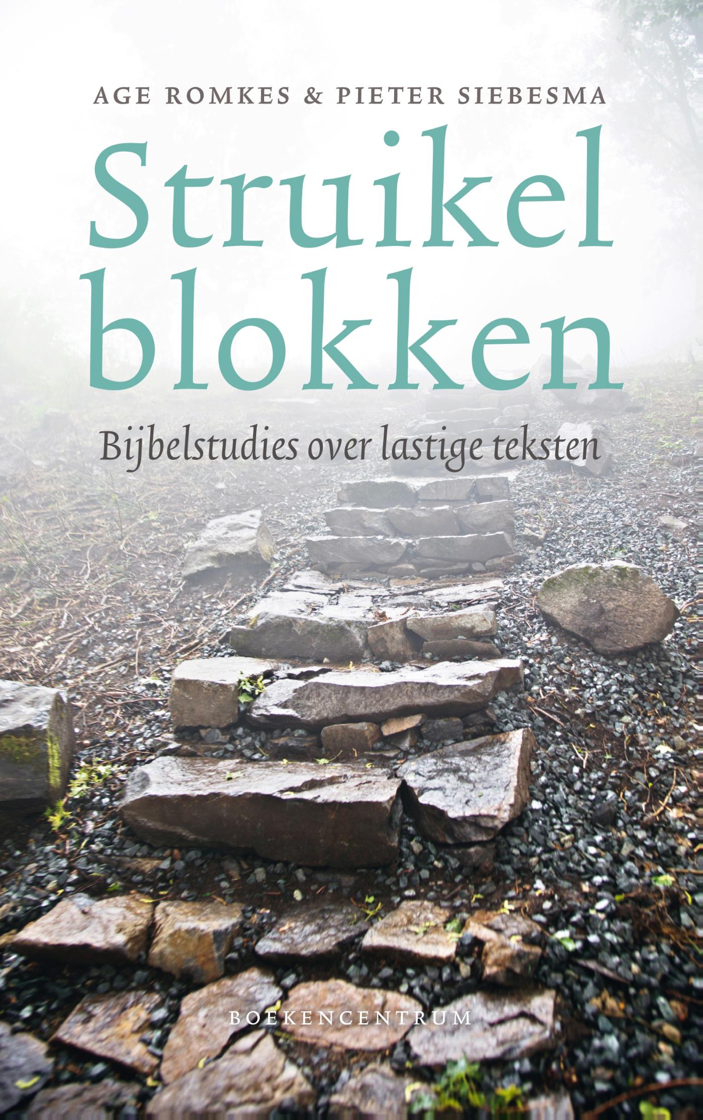 Age Romkes Struikelblokken thumbnail