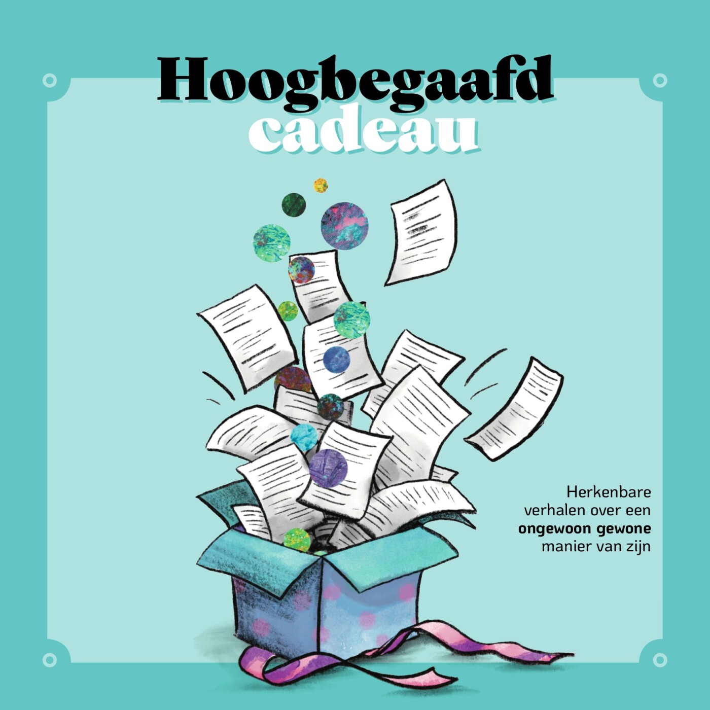 Noks Nauta Hoogbegaafd Cadeau thumbnail