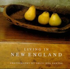 LIVING IN NEW ENGLAND (Solvi dos Santos)
