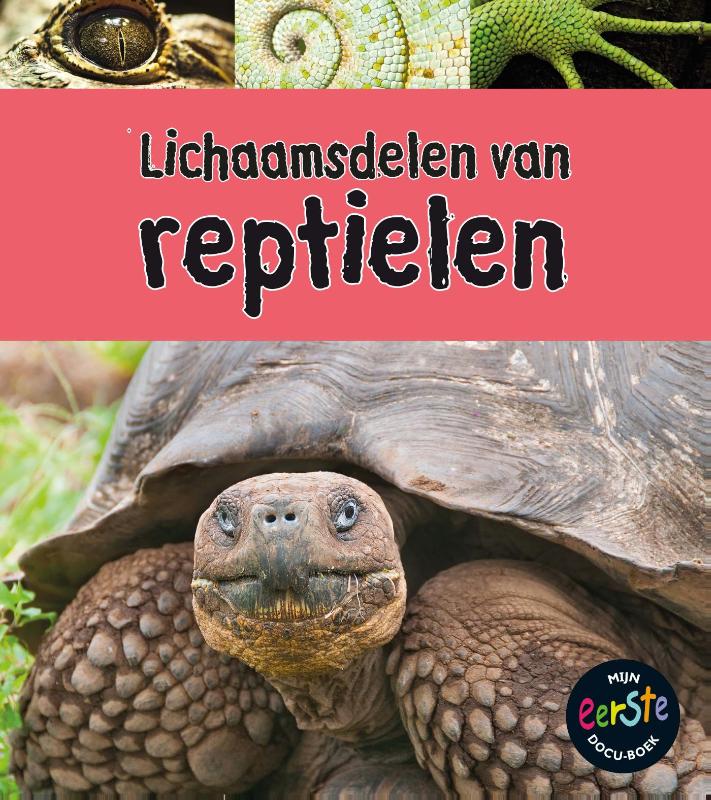 Lichaamsdelen van reptielen / Onder de loep