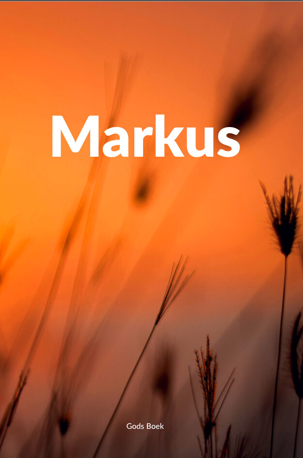 boekenbalie_9789464668209_cover Markus / Gods Boek