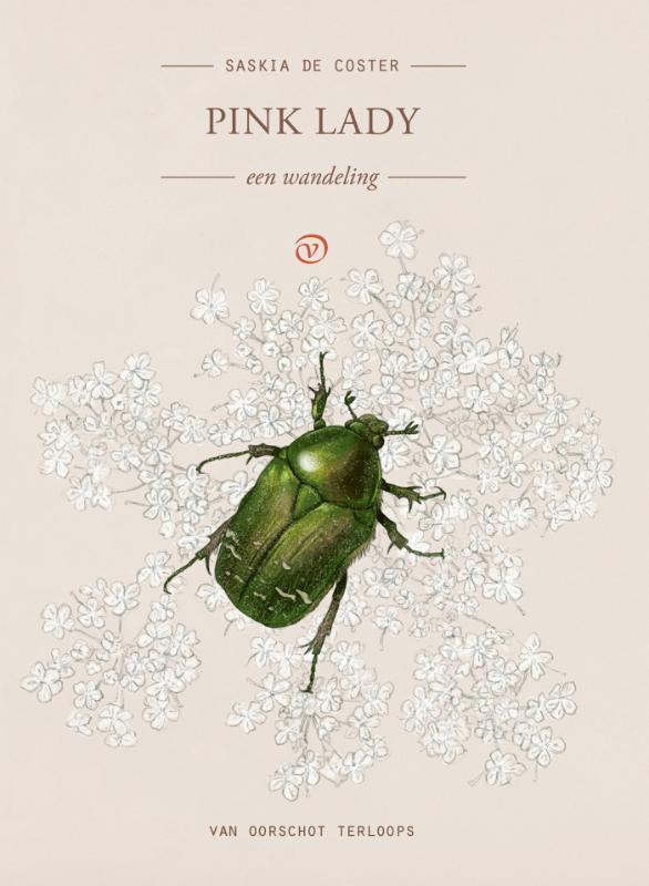 Pink Lady / Terloops
