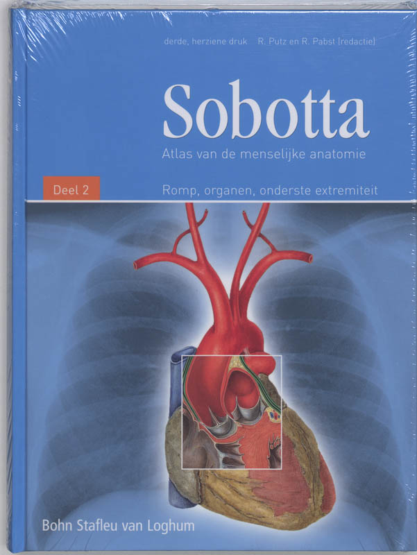 Sobotta / 2 Romp, organen, onderste extremiteit