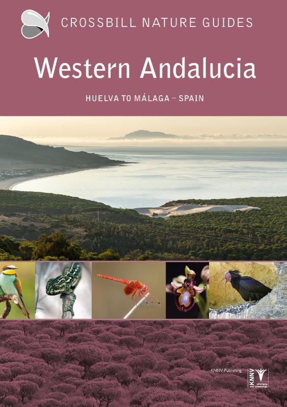 Western Andalucia / Crossbill guides / 48