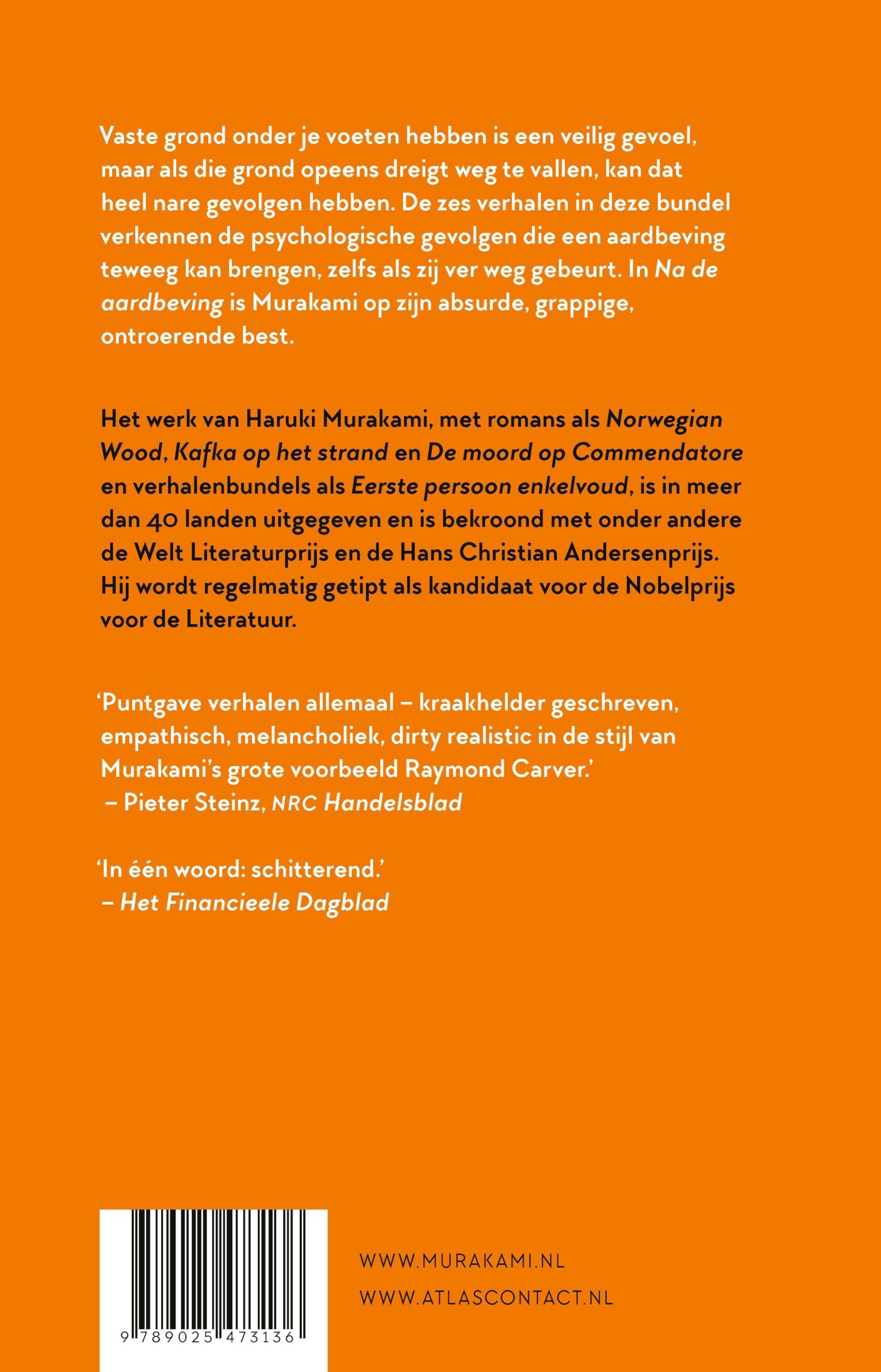 Na de aardbeving achterkant