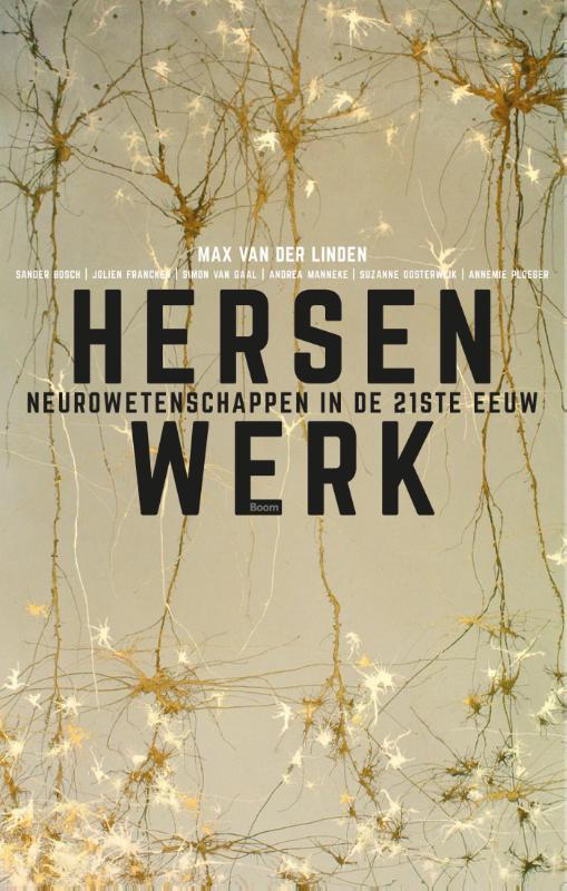 Max van der Linden Hersenwerk thumbnail