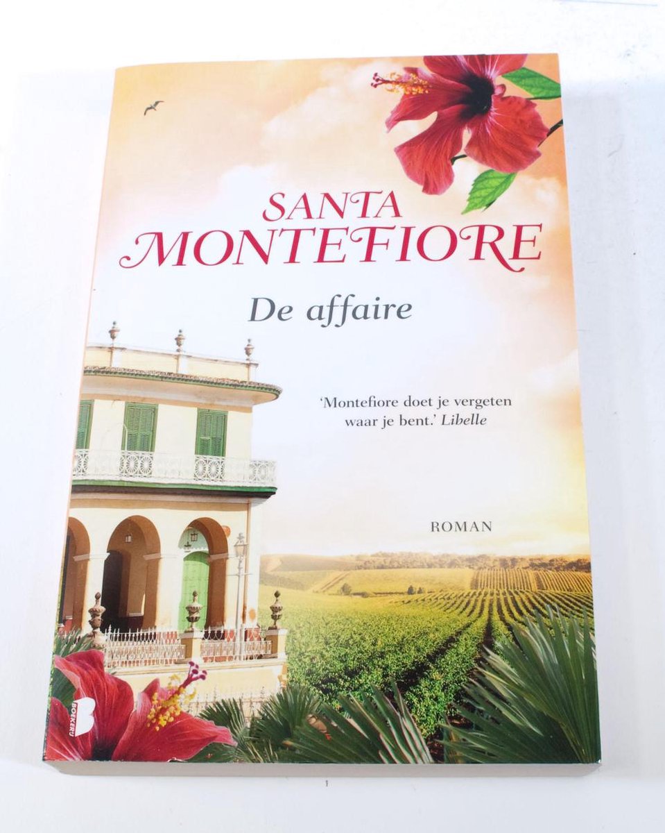 boekenbalie_9789022573549_cover DE AFFAIRE - Santa Montefiore