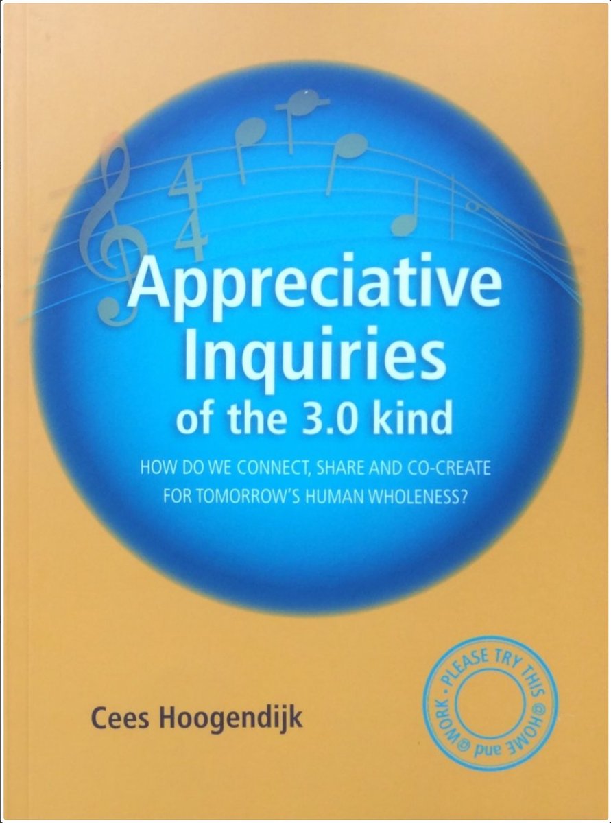 boekenbalie_9789079679379_cover Appreciative inquiries of the 3.0 kind