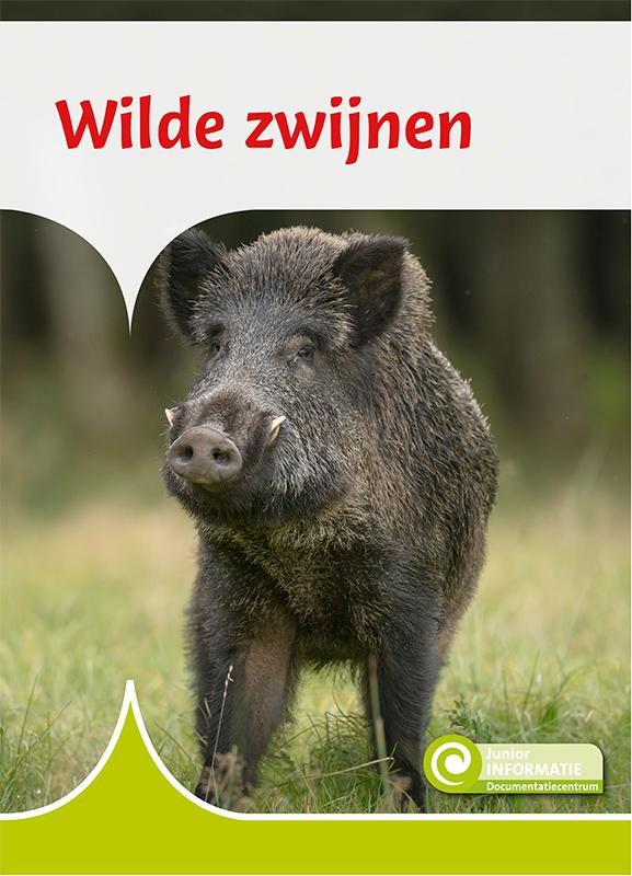 Junior Informatie 124 - Wilde zwijnen