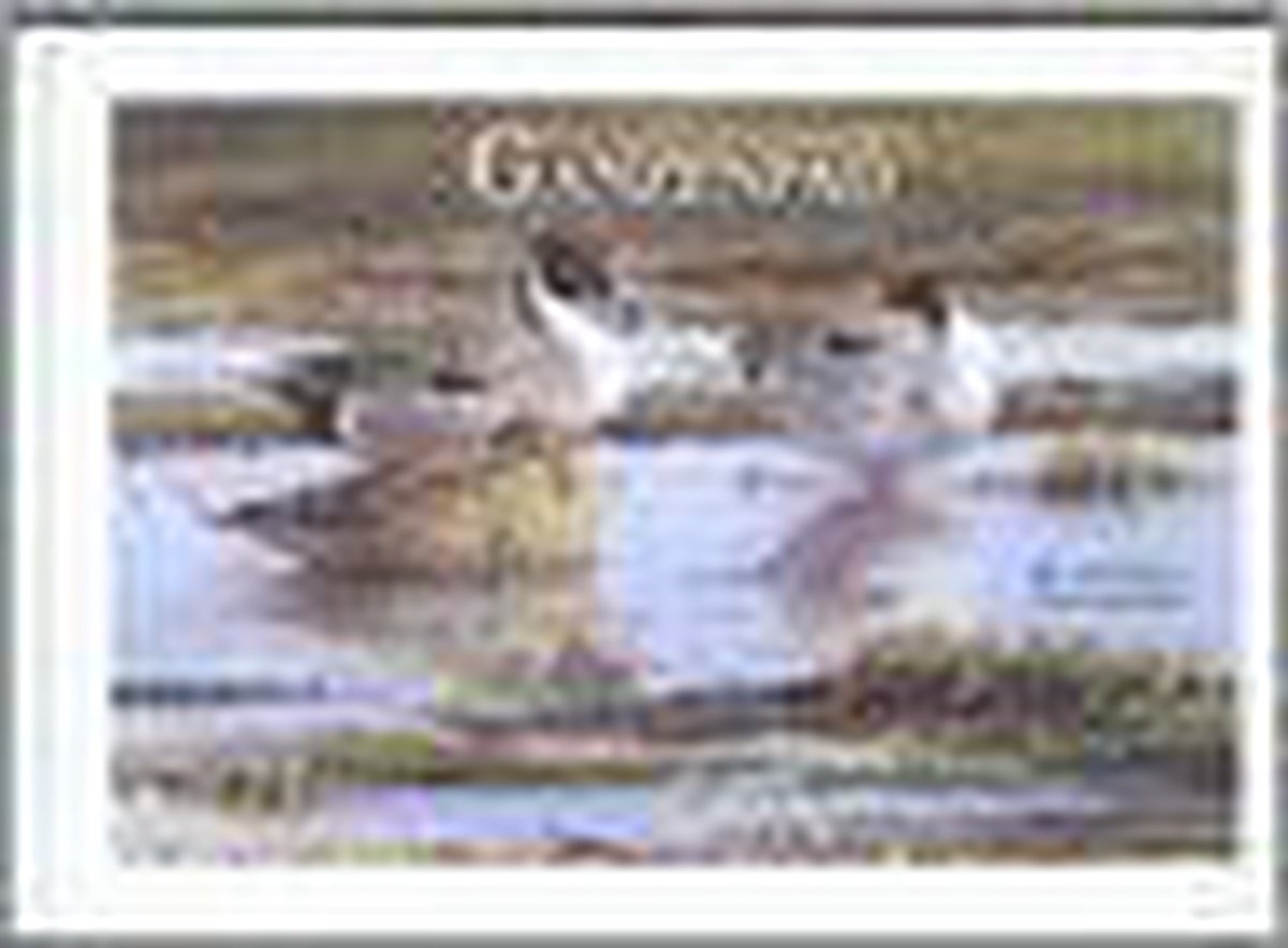 boekenbalie_9789050280860_cover GANZENPAD                          IMPRESSIES LAUWERSMEERGEBIED