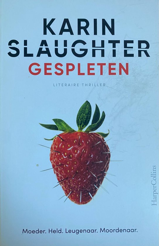 Gespleten - Karin Slaughter