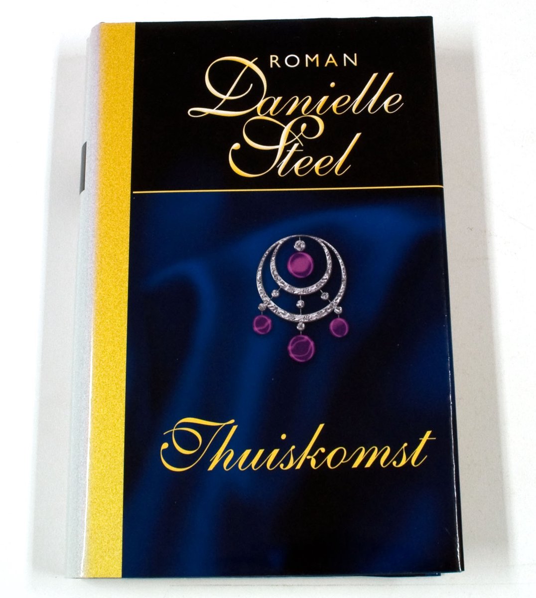 boekenbalie_9789051088786_cover Thuiskomst - Steel Danielle