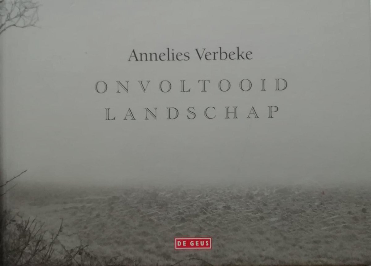 Onvoltooid Landschap