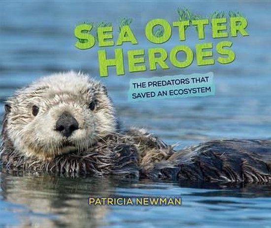 Sea Otter Heroes