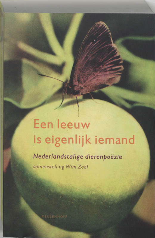 Een Leeuw Is Eigenlijk Iemand