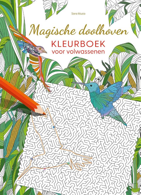 Magische doolhoven - kleurboek voor volwassenen