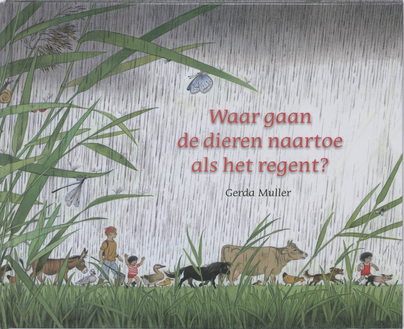 Waar gaan de dieren naartoe als het regent?