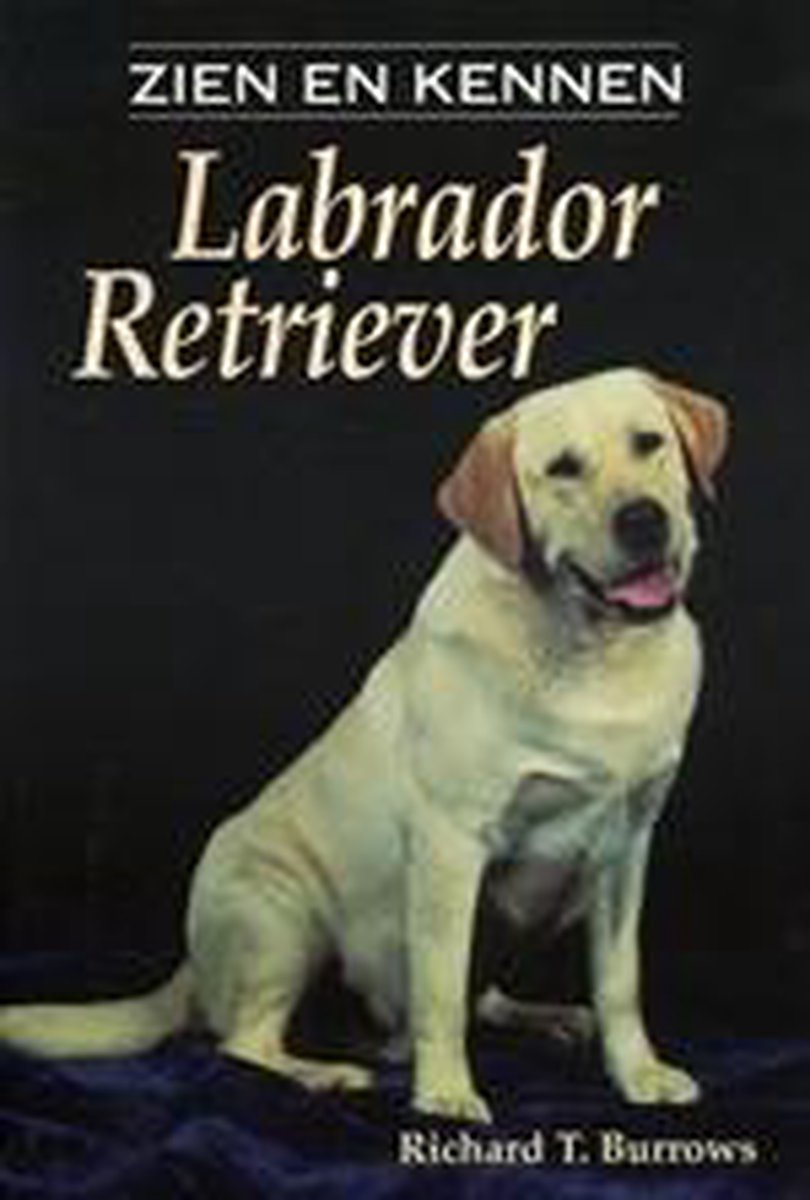 Labrador Retriever / Zien en kennen