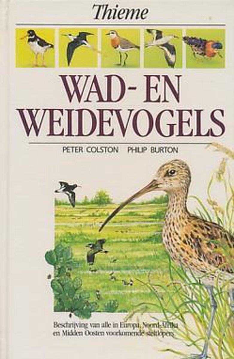 boekenbalie_9789052100111_cover Wad- en weidevogels / Thieme's natuurgidsen