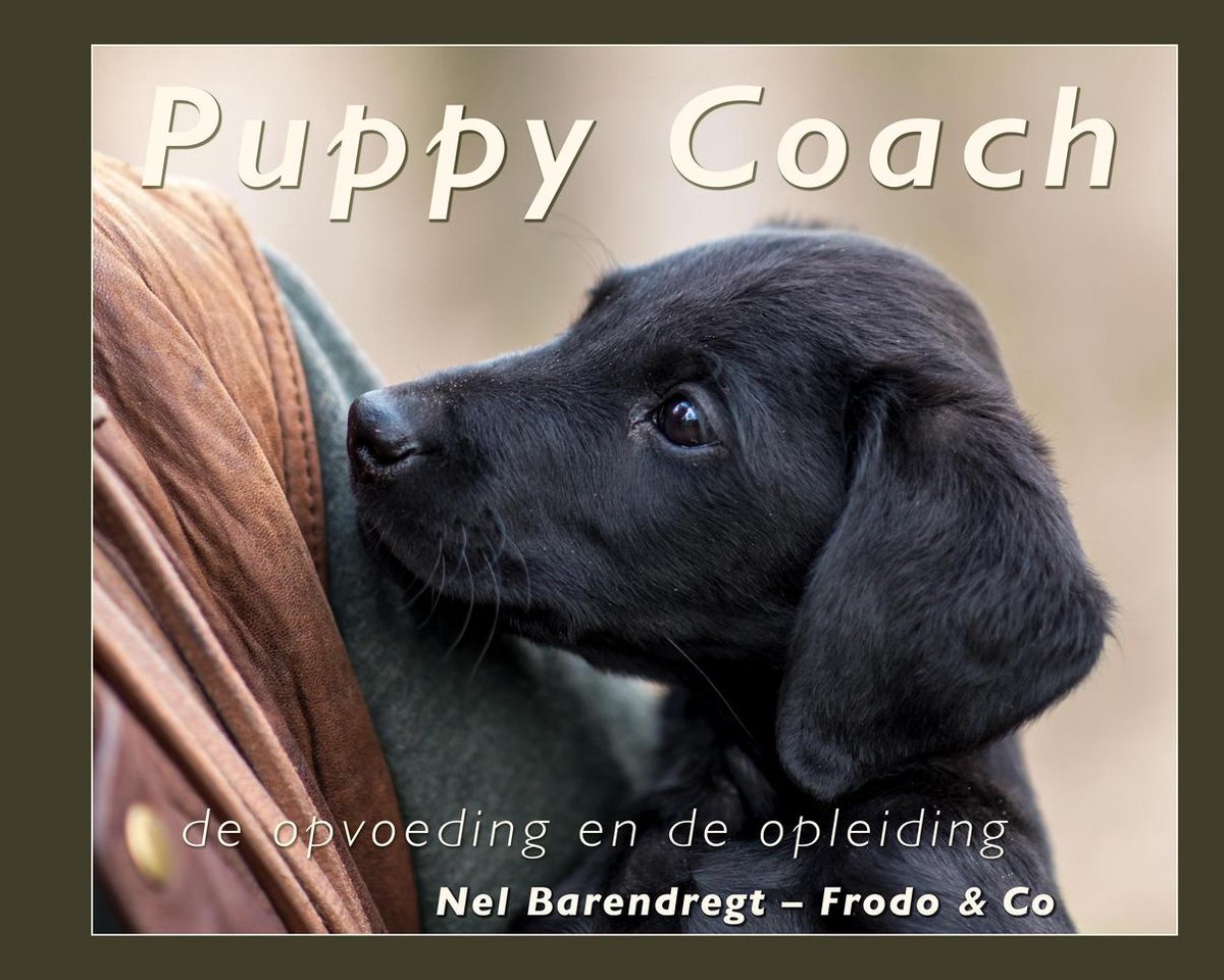Puppy Coach / Frodo &amp; Co