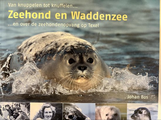 Jan Bos Zeehond En Waddenzee