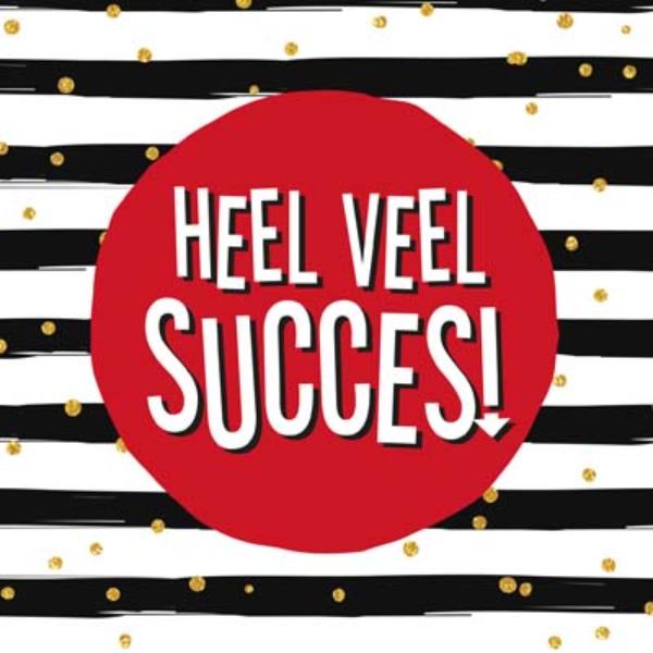 Gerd de Ley Heel Veel Succes thumbnail