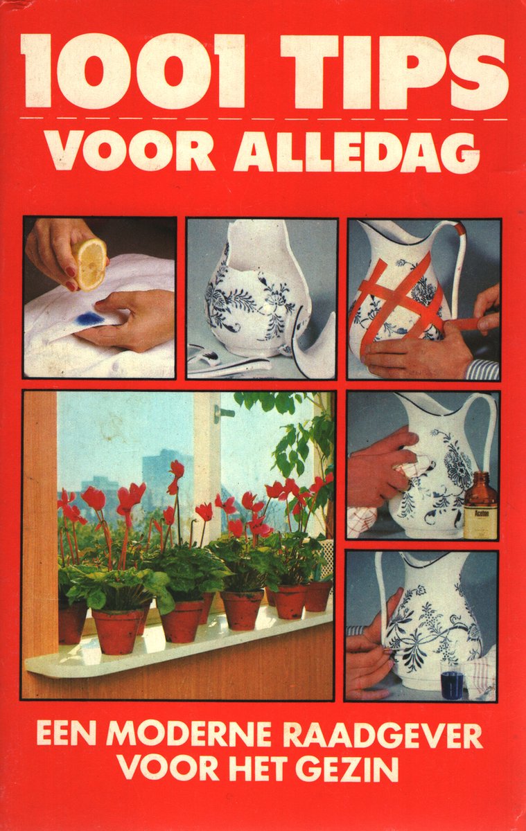 boekenbalie_9789065900708_cover 1001 tips voor alledag