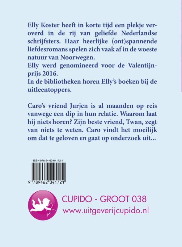 Winterromance / Cupido - Groot / 038 achterkant