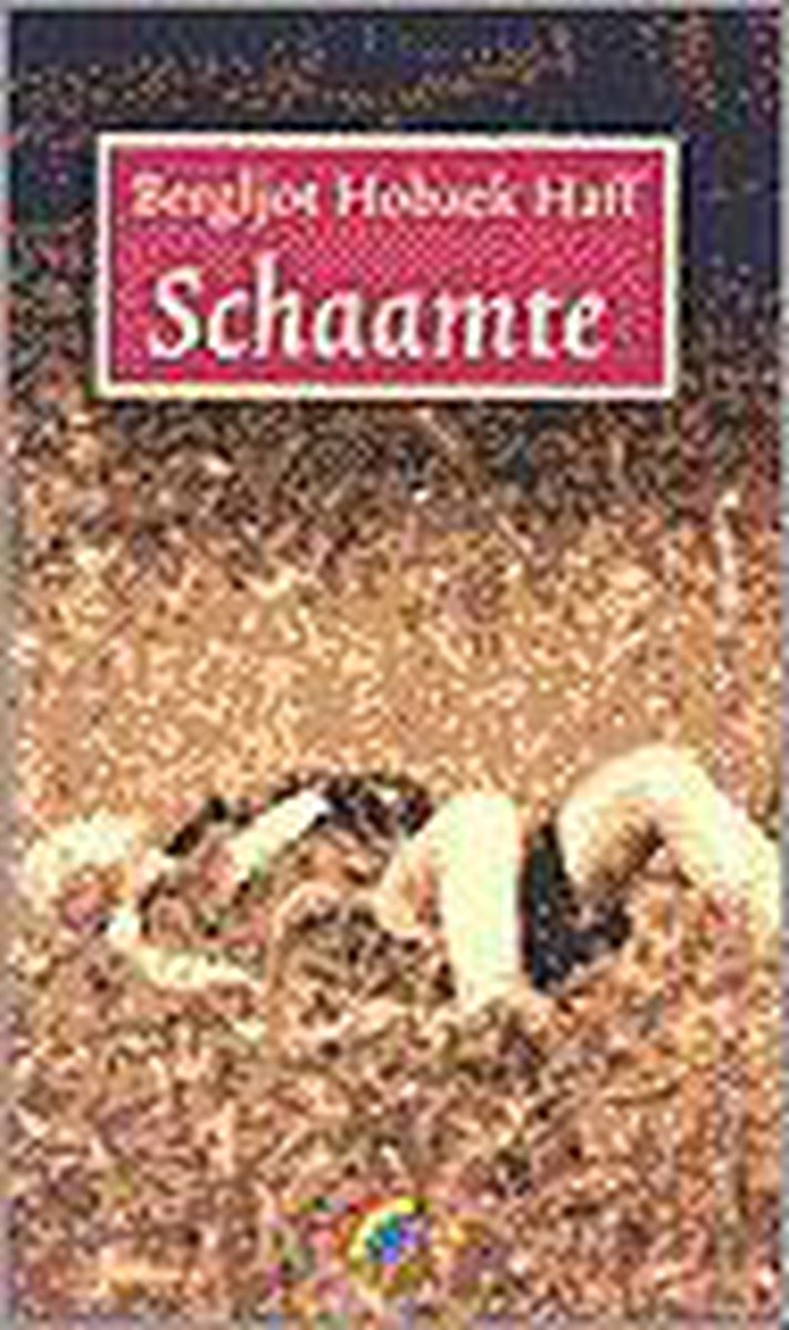 boekenbalie_9789041711212_cover Schaamte