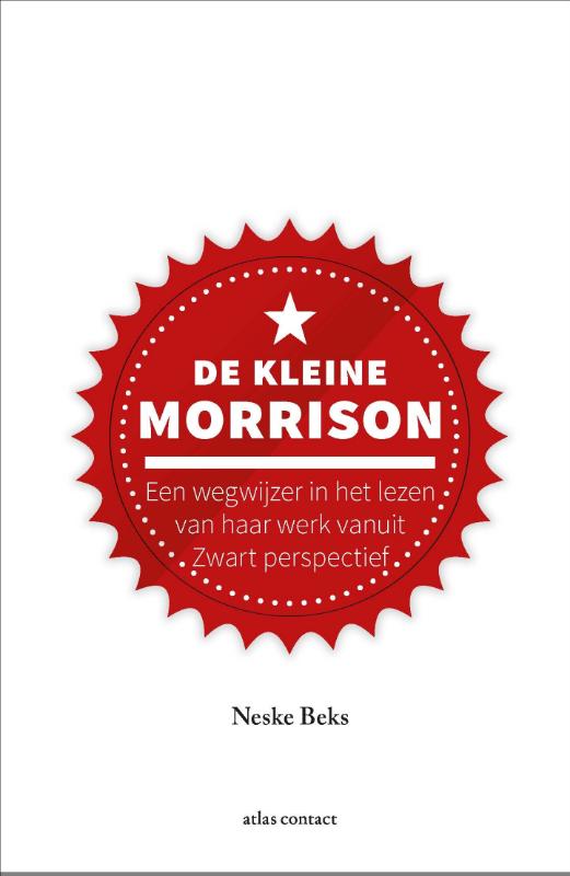 boekenbalie_9789045047195_cover De kleine Morrison / Kleine boekjes - grote inzichten / 1