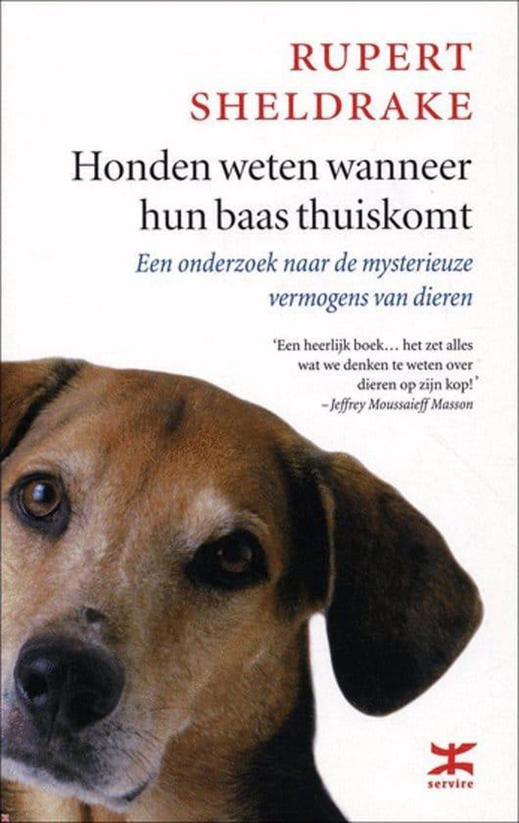 Honden Weten Wanneer Hun Baas Thuiskomt