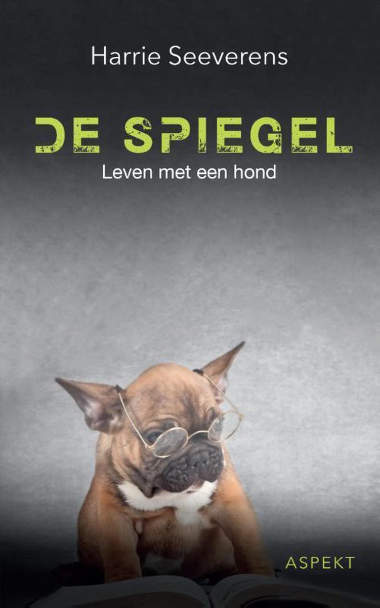 Harrie Seeverens De Spiegel thumbnail