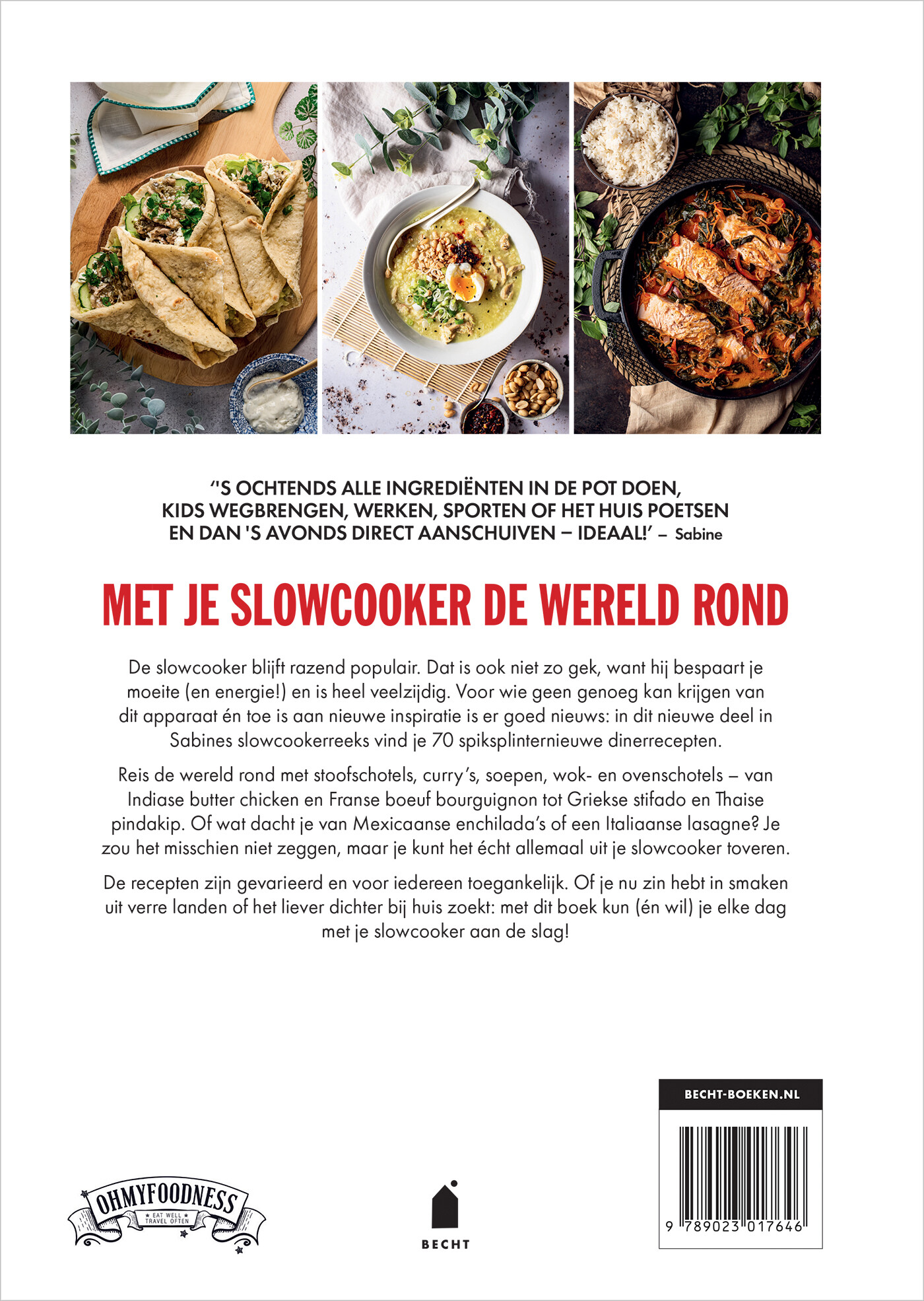 Het slowcookerboek wereldgerechten achterkant