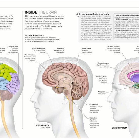 Science Of Yoga