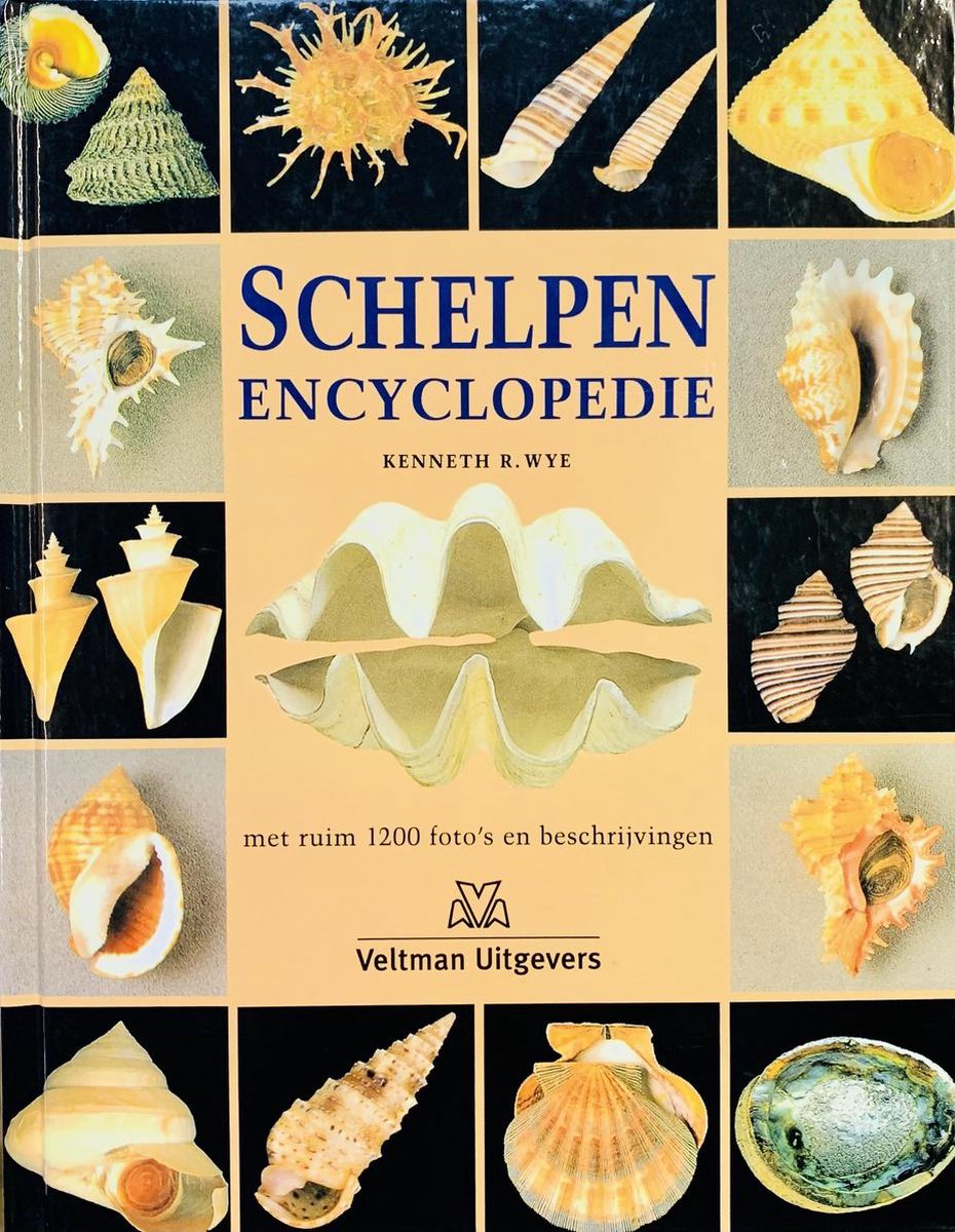 boekenbalie_9789059200494_cover Schelpen encyclopedie