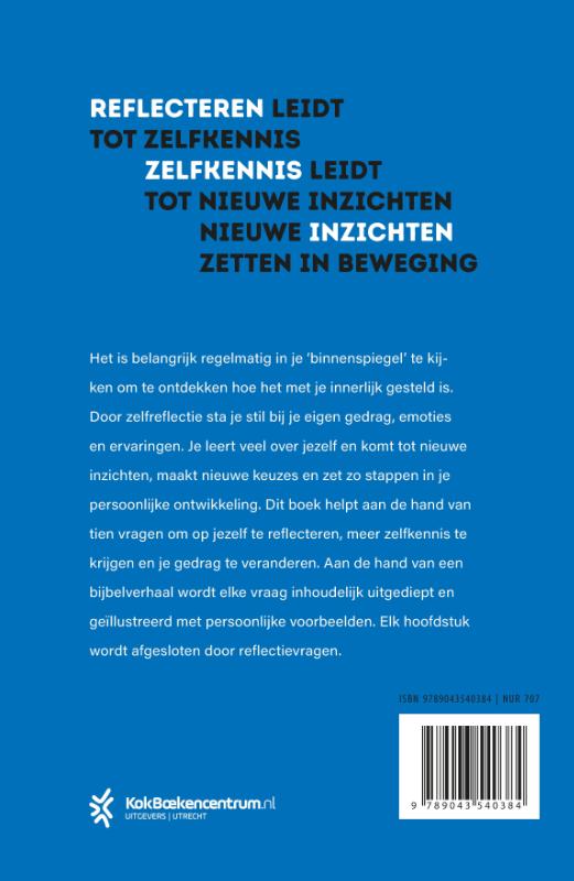 Binnenspiegel achterkant