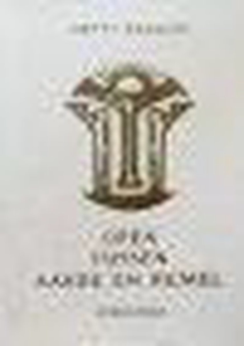 boekenbalie_9789062716524_cover Open Tussen Hemel En Aarde