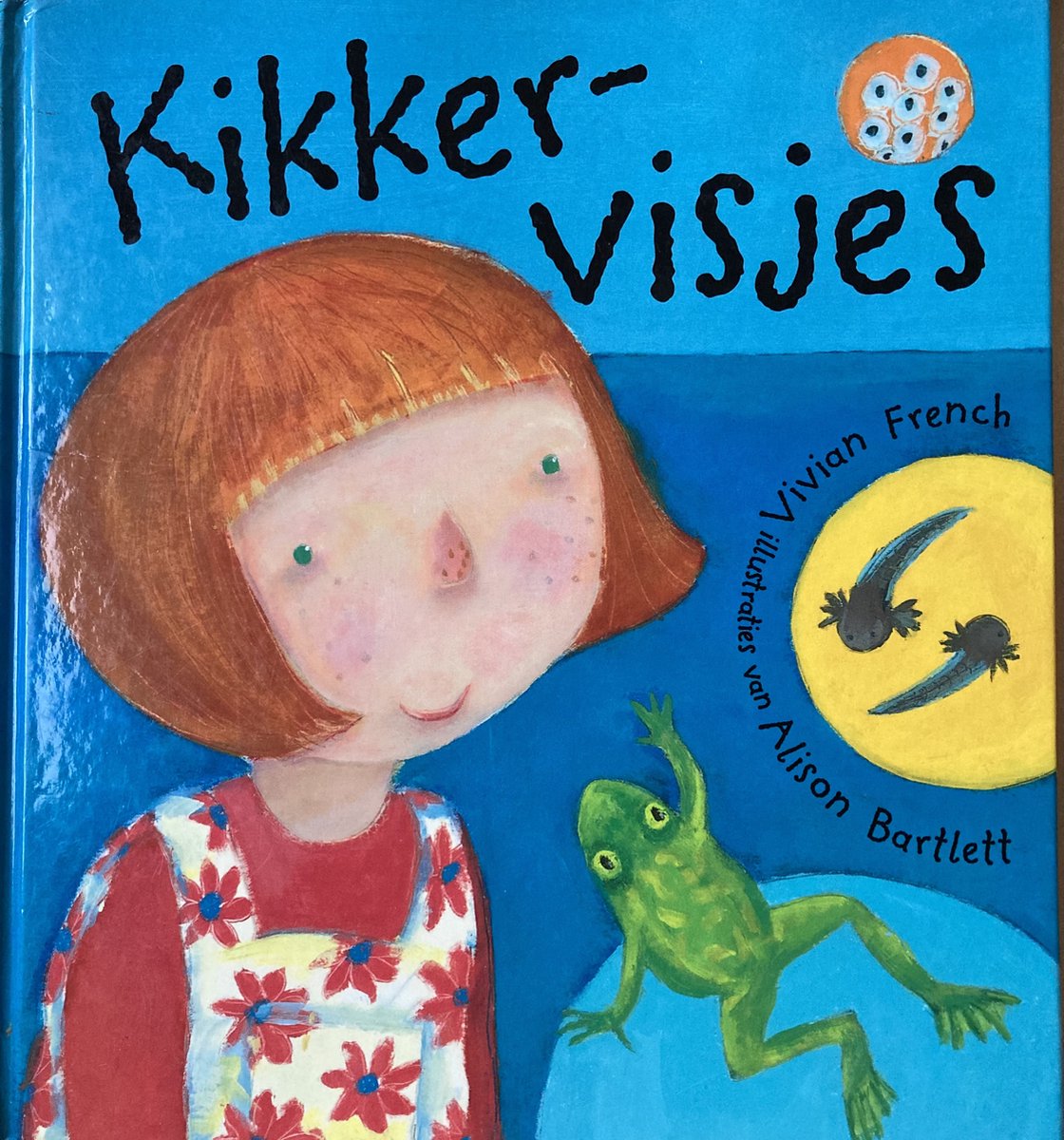 Kikkervisjes