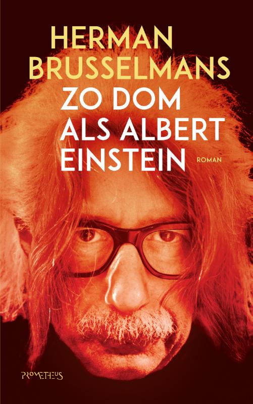 boekenbalie_9789044640038_cover Zo dom als Albert Einstein