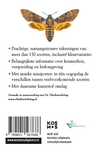 Vlinders / Compactgidsen achterkant