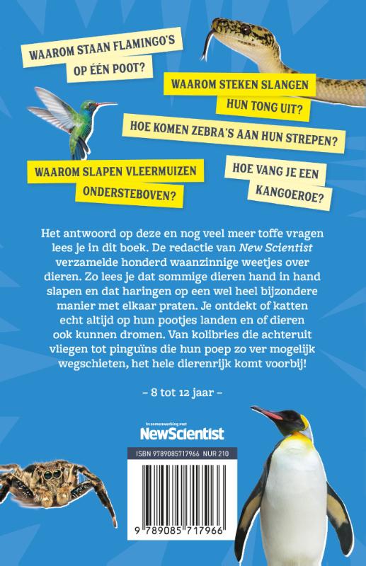 Hoe vang je een kangoeroe? achterkant